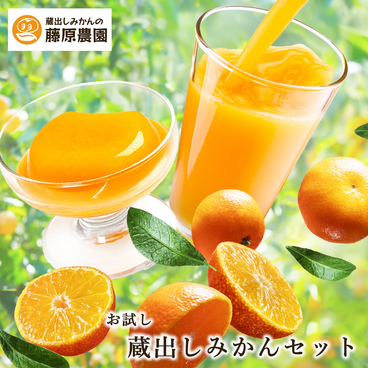 ☆みかんページ☆ お試し蔵出しみかんセット｜ジュースとゼリーが楽しめる人気商品