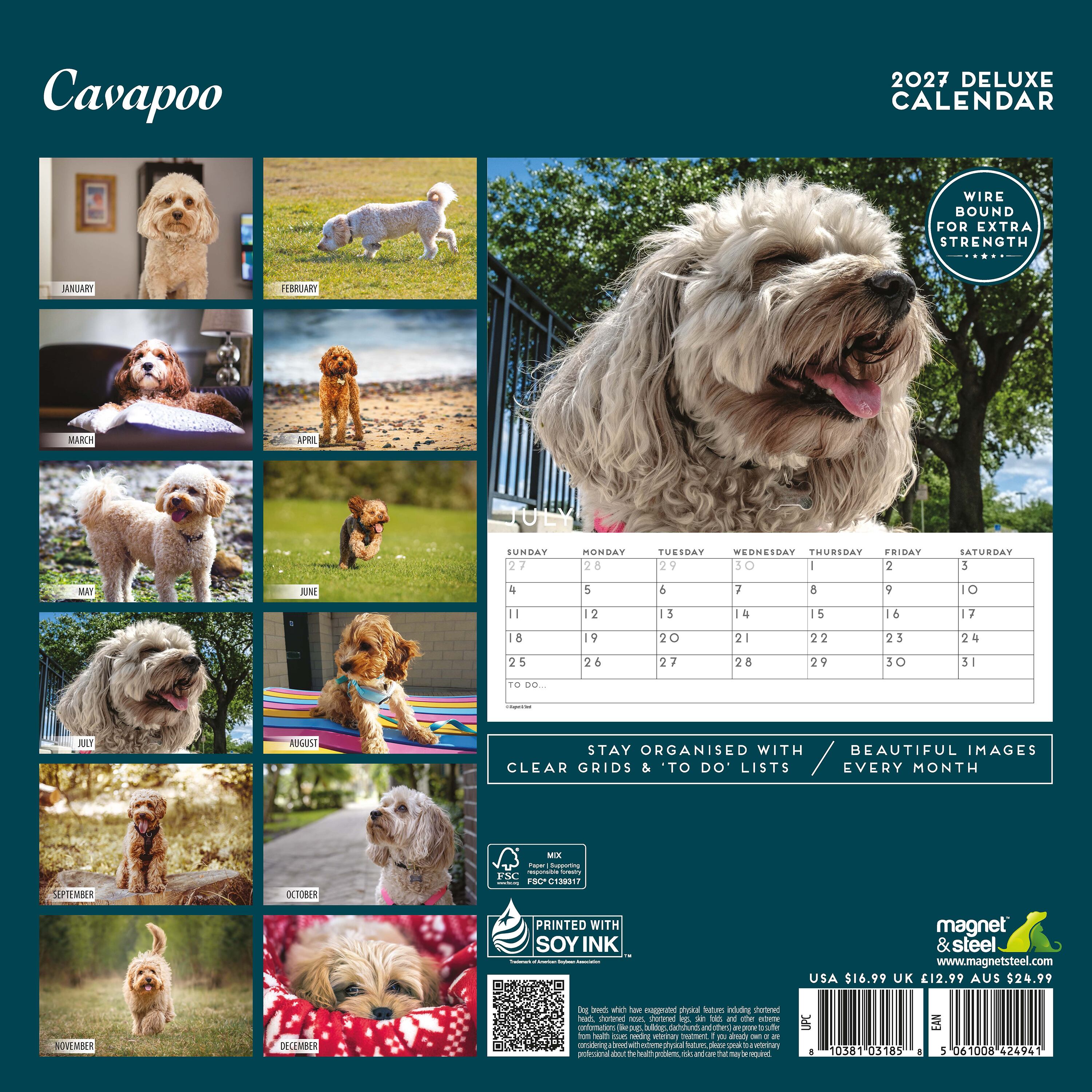 【2027年版】英国製犬種カレンダー【キャバプー】 DELUXE 2027年版