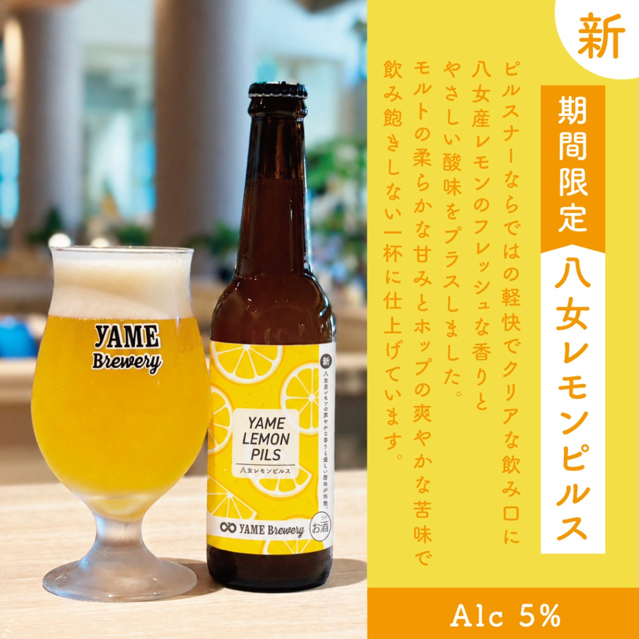 【期間限定レモンピルス入】飲み比べ5種6本セット