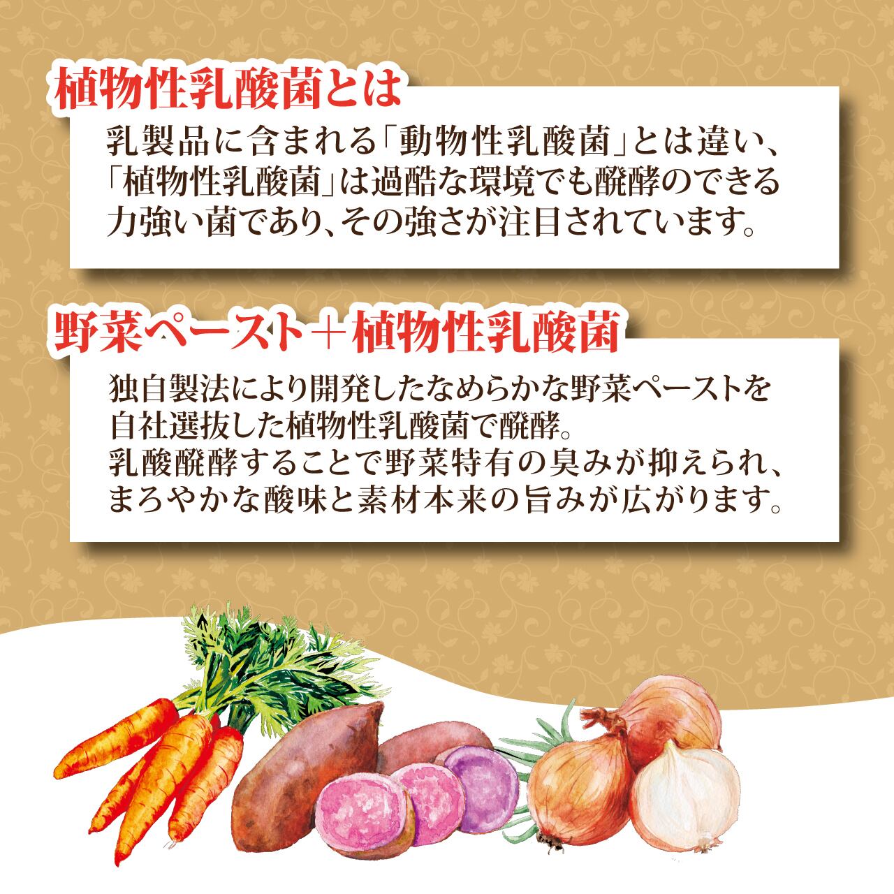 新品　ADS ウォッシング　トーニング　2本セット　ポイント&箱無し配送 乳酸菌醗酵ドレッシング【3種セット】 | 新進物産｜オンラインショップ