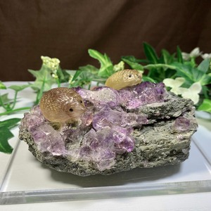 マハラシュトラ産アメジストクラスター×フローライトハリネズミ