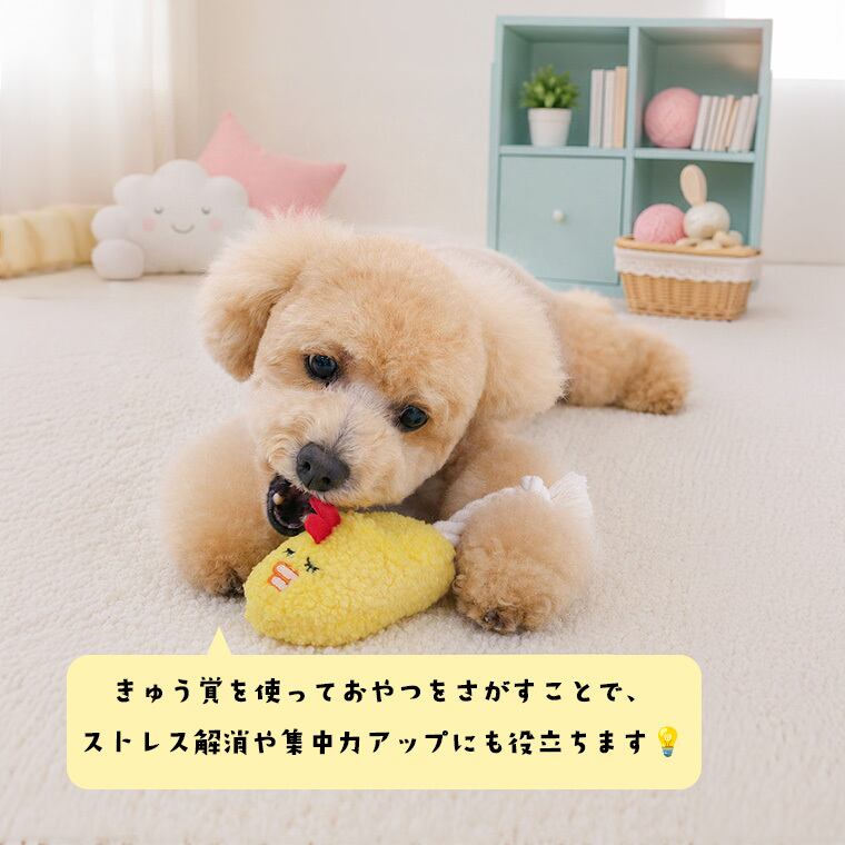 snack pocket slipper toy ver.2 5color / 犬 おもちゃ ノーズワーク おやつ隠し 噛む ロープ 知育玩具 わんちゃん おも ちゃ トイ 楽しい 留守 犬 ストレス解消 韓国 ペット用品 小型犬 中型犬