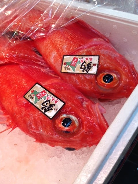 Yuki　ニュースキン　製品 147×52P 147SOZ オールマイティ ZERO(マルノコ用) Y'sGOD 刃数