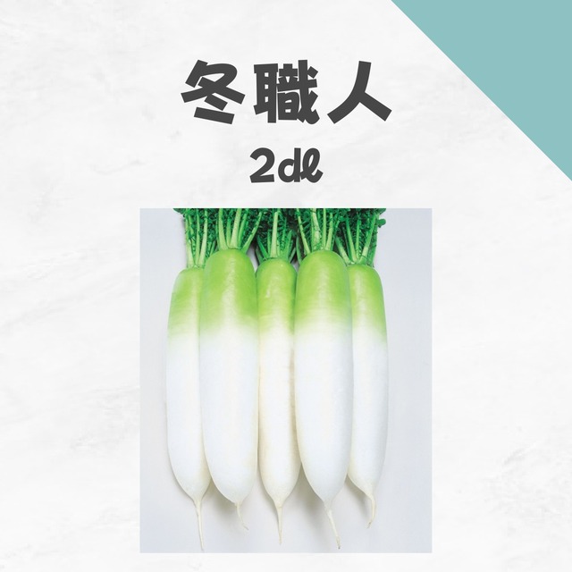 冬職人　ダイコン種子・2dl