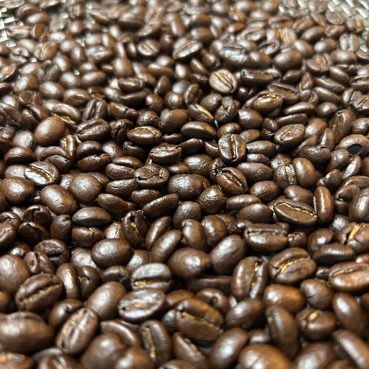 コーヒー豆】ケニア：シンバ AB TOP ウォッシュ【100g】 | 自家焙煎