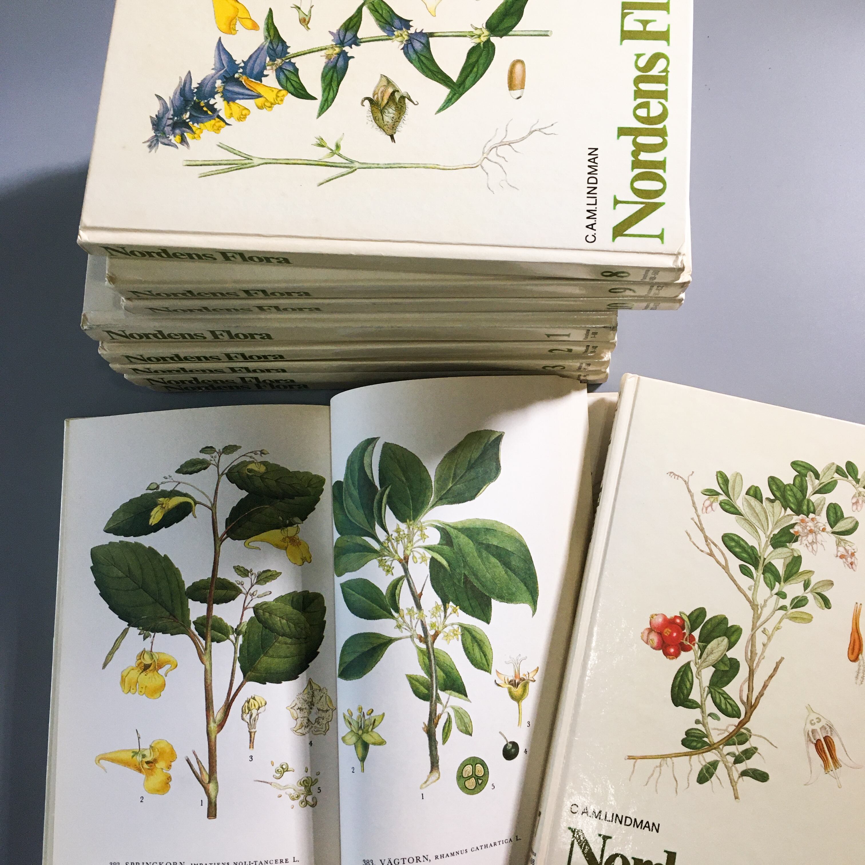 北欧植物図鑑 Nordens Flora コンプリート10巻 スウェーデン 1980年 ボタニカル 欧州アンティーク雑貨 べるりんのーと