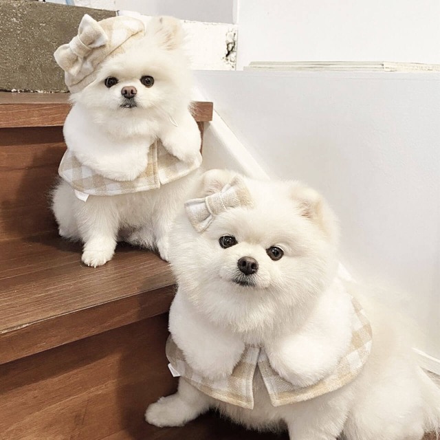 あったかアクセサリー３点セット【帽子　ケープ　ポンチョ】