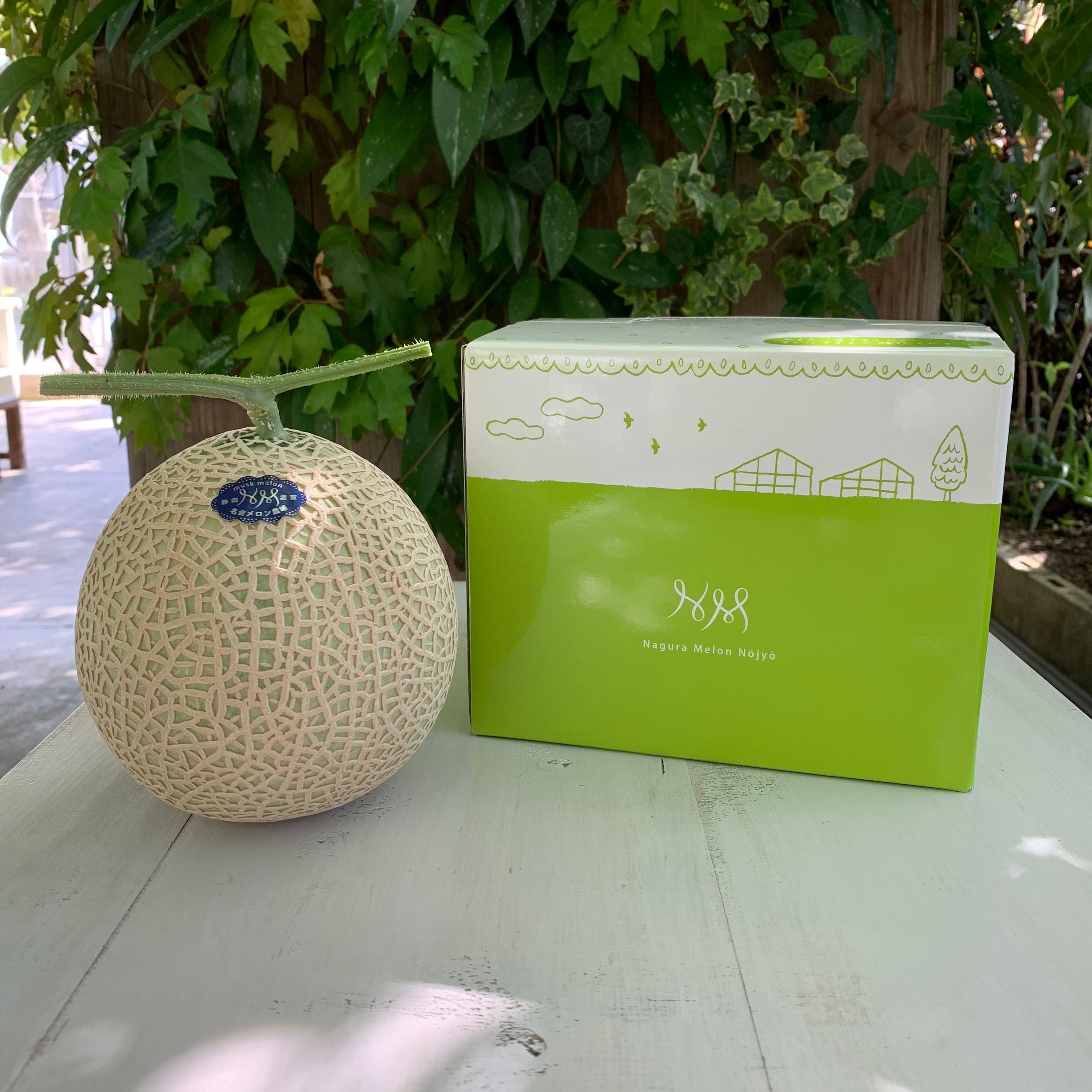 贈答用マスクメロンRyo Mサイズ（2月下旬発送予定) | 名倉メロン農場