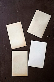 20s フランス 4set 膨満な花々と野菜たち 種子袋用ラベルb アンティーク