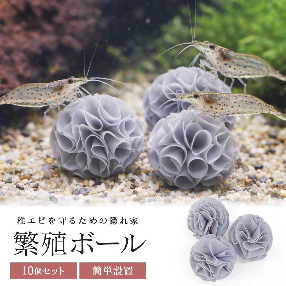 エビ 産卵用 繁殖ボール 青 海老 10個セット ミナミヌマエビ 産卵床