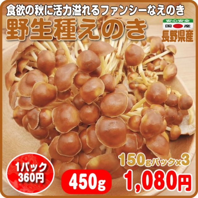 食欲の秋に活力溢れるファンシーなえのき 野生種えのき ３パック ４５０ｇ 長野県産 イーファーマーズ E Farmers