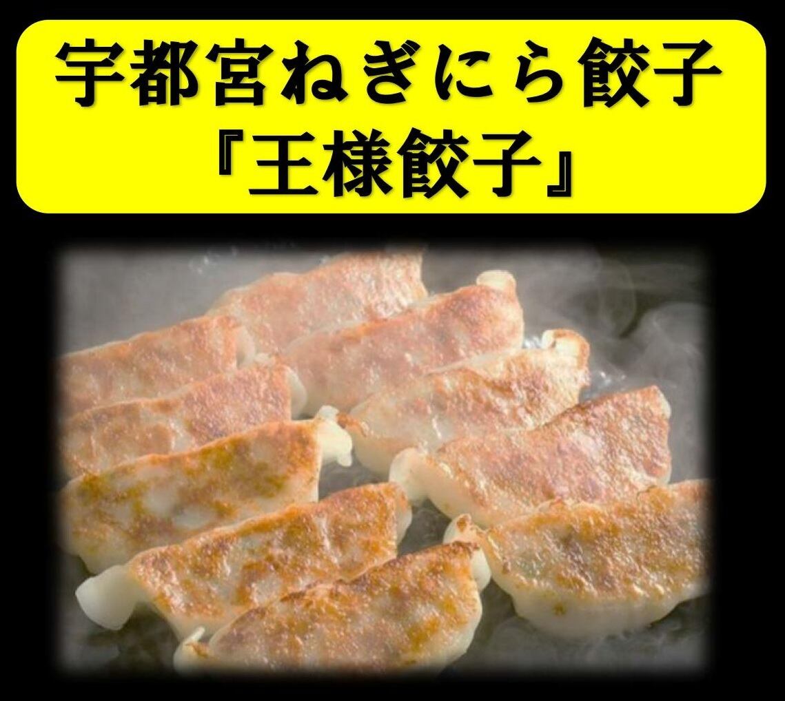 12人前 48個】王様餃子（しもつかれ餃子） 冷凍 | Utsunomiya Neginira