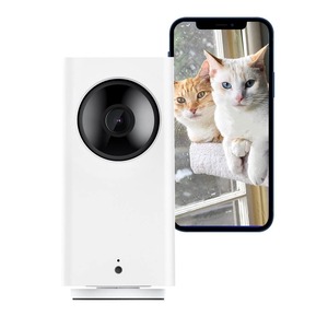 【在庫処分】Wyze Cam Pan v2 防犯カメラ ペットカメラ ネットワークカメラ フルHD カラーナイトビジョン 屋内 見守りカメラ ベビーモニター Alexa対応 スマートホーム