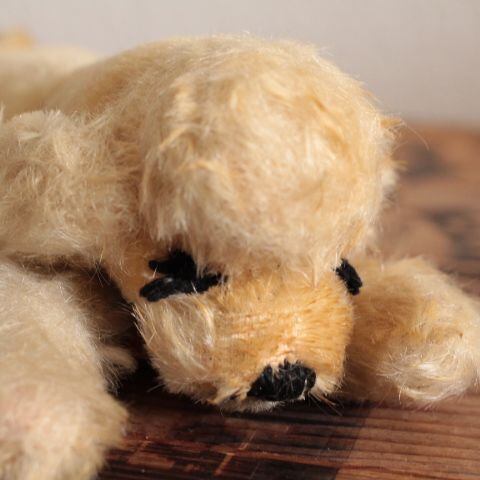 n1]アンティーク シュタイフ 眠り犬Floppy Snobbyプードル 犬/dog 17cm