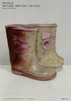 青野文昭｜《なおす・代用・合体・連鎖・地縛「薄緑欠片の補完と葛根湯の脱出」2025》