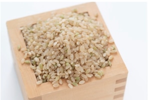 定期便　自然栽培米おぼろづき 5kg