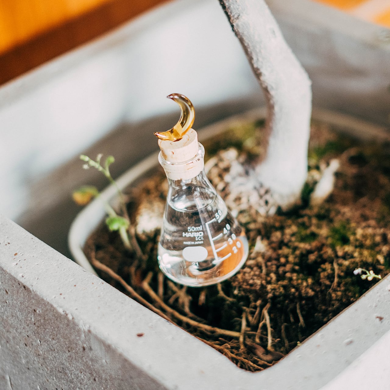 プランターに挿す水やり器 三日月 | ハリオサイエンス公式通販