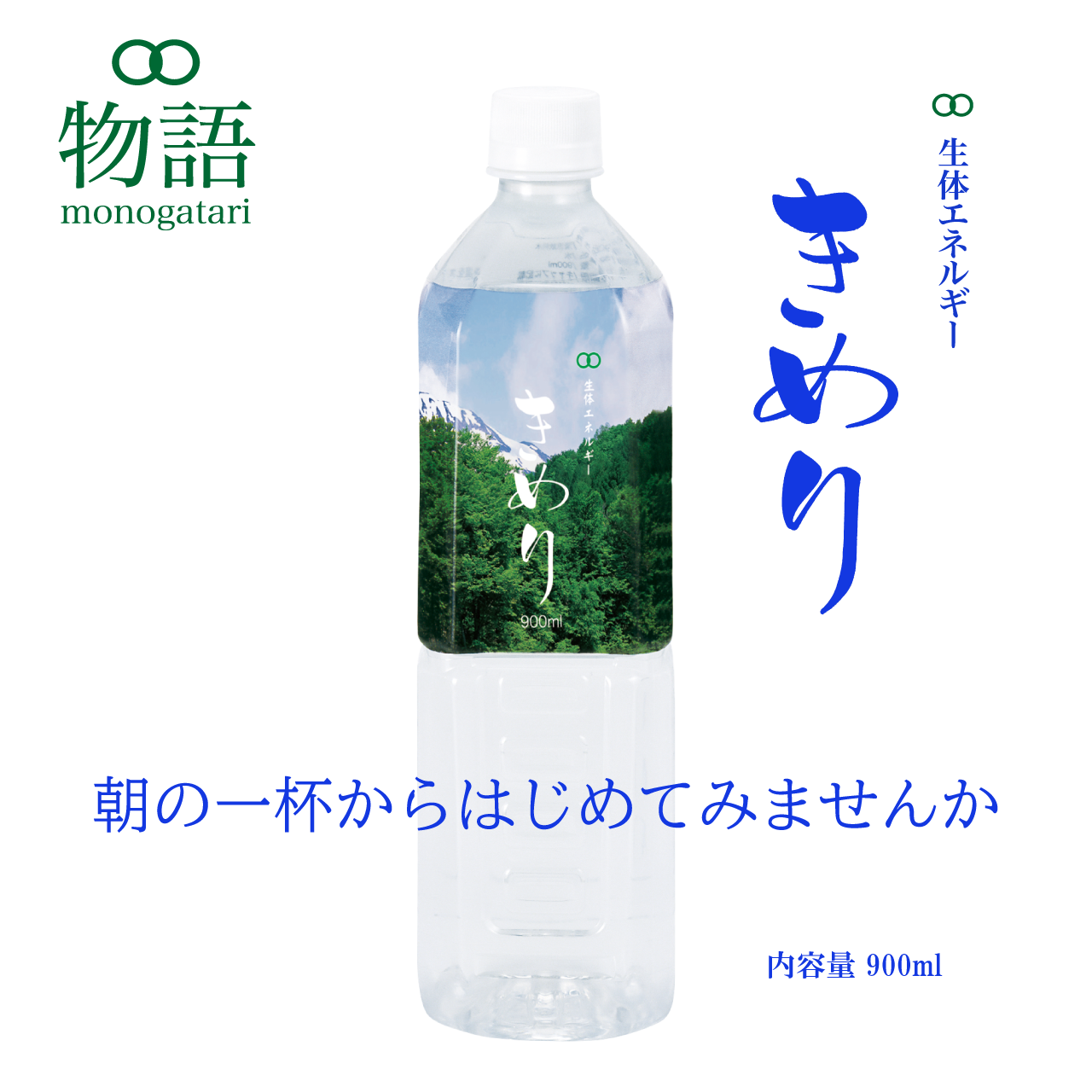 生体エネルギー研究所 生体エネルギー応用商品 ブローチ 携帯用 【公式