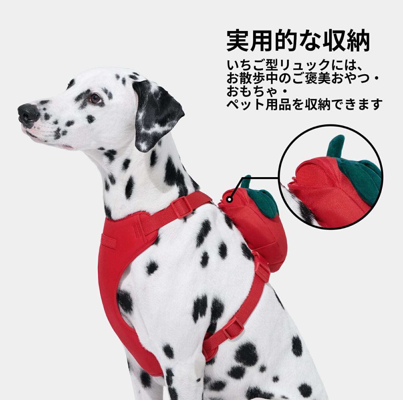 VETRESKA】いちごリュックハーネスリードセット | ペット用品
