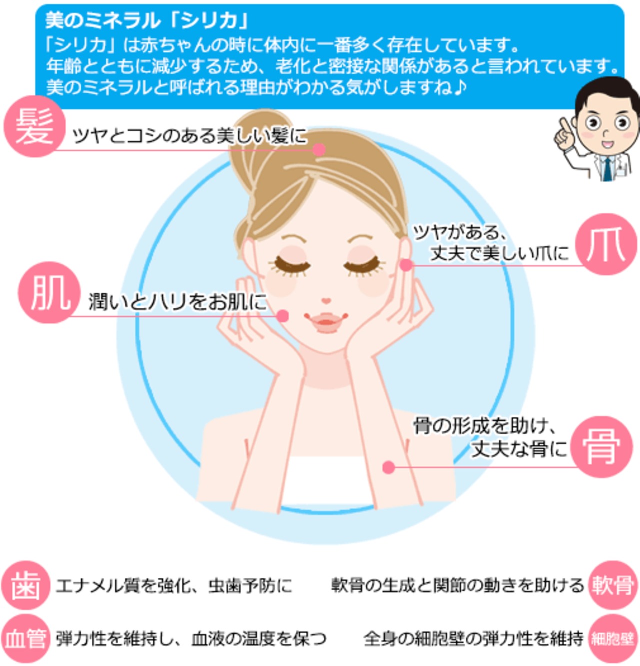 ケイ素＆白金ナノコロイド配合500ml 2本セット 水溶性珪素 定価1本 