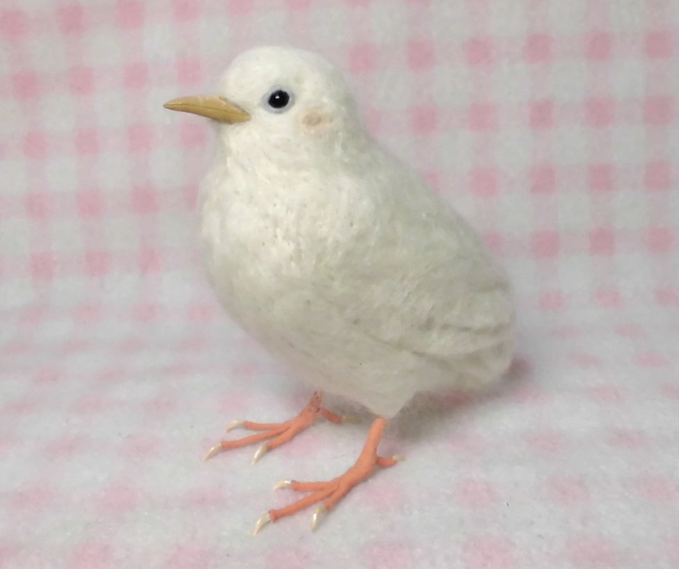 羊毛の小鳥：ライフサイズ（1/1サイズ）1羽：ヒメウズラ 「うちの子