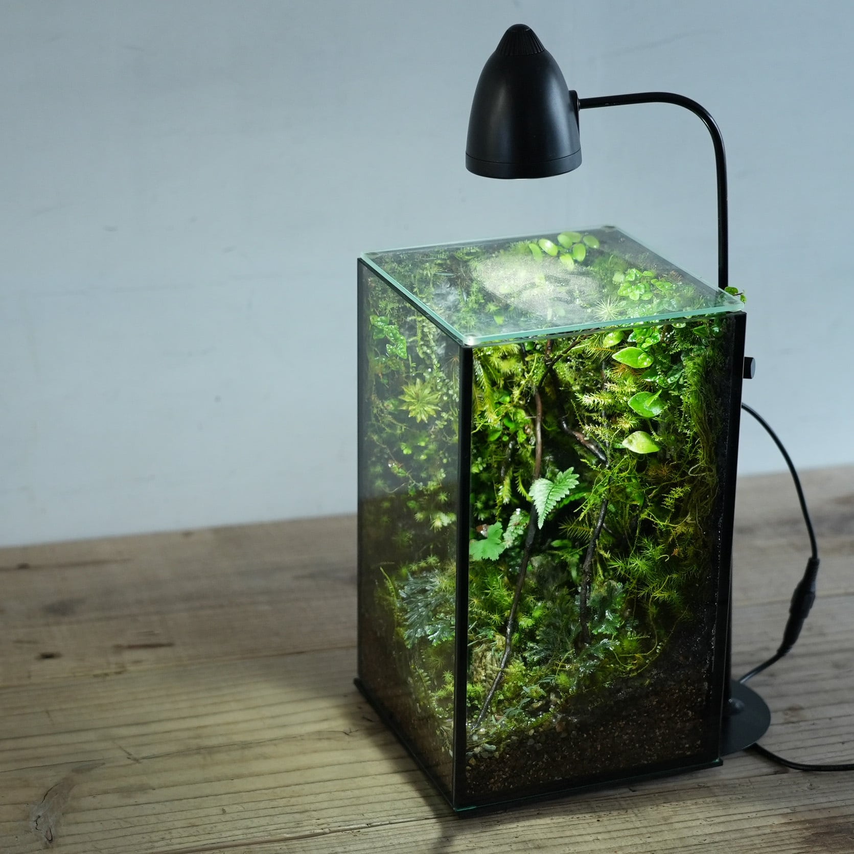 【オーダー参考】苔の部屋