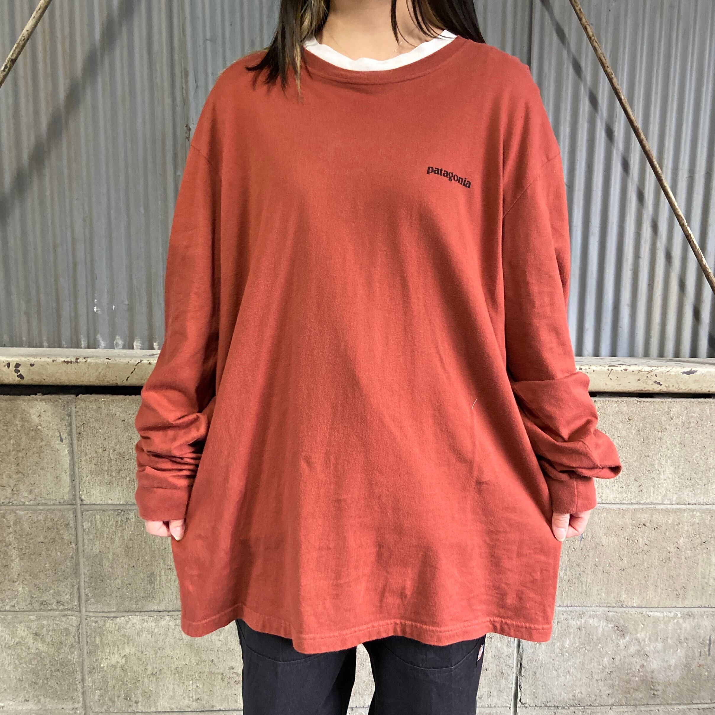 USA製 patagonia パタゴニア 胸ロゴ バックプリント ロングTシャツ