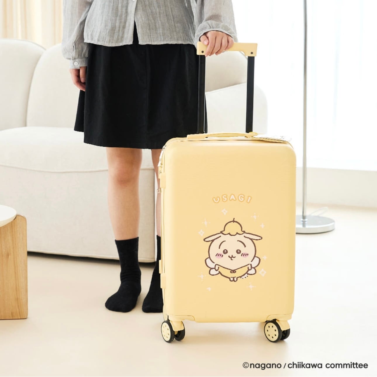 韓国限定】chiikawa carry case usagi / ちいかわ うさぎ ハチワレ