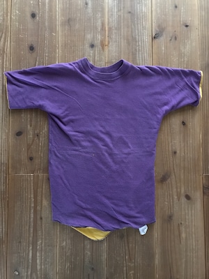 60's　RUSSELL LIONS WATERLOO リバーシブルTシャツ ダブルフェイス 実寸(S-M)　