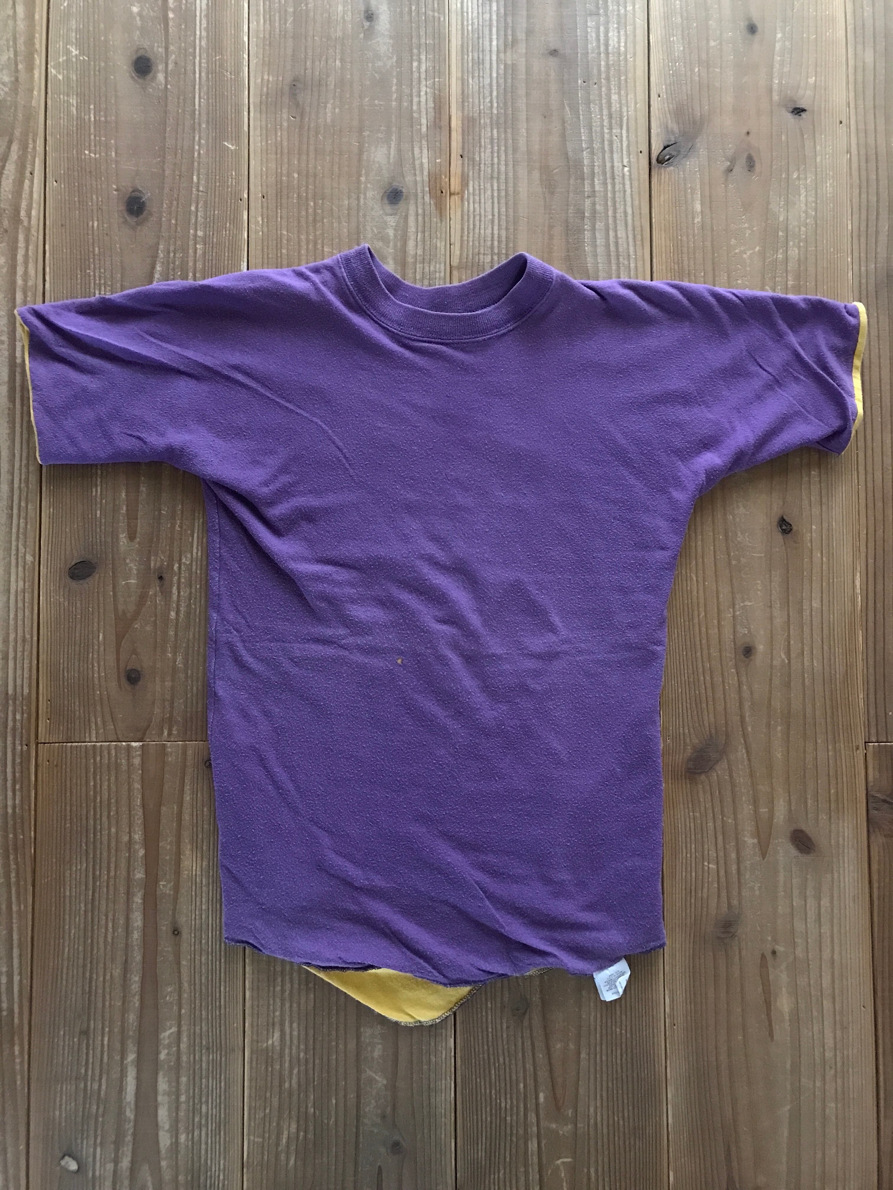 60's　RUSSELL LIONS WATERLOO リバーシブルTシャツ ダブルフェイス 実寸(S-M)　