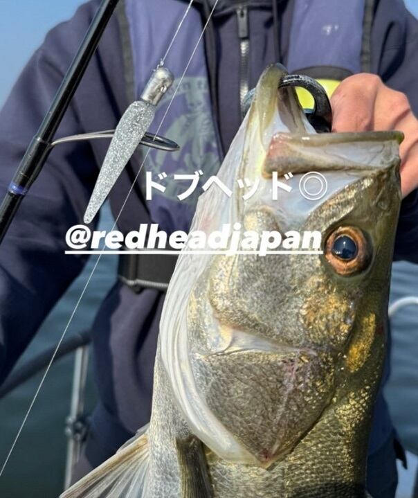 ドブヘッド8.5g・13g（ジグヘッド） | ルアーショップ REDHEAD