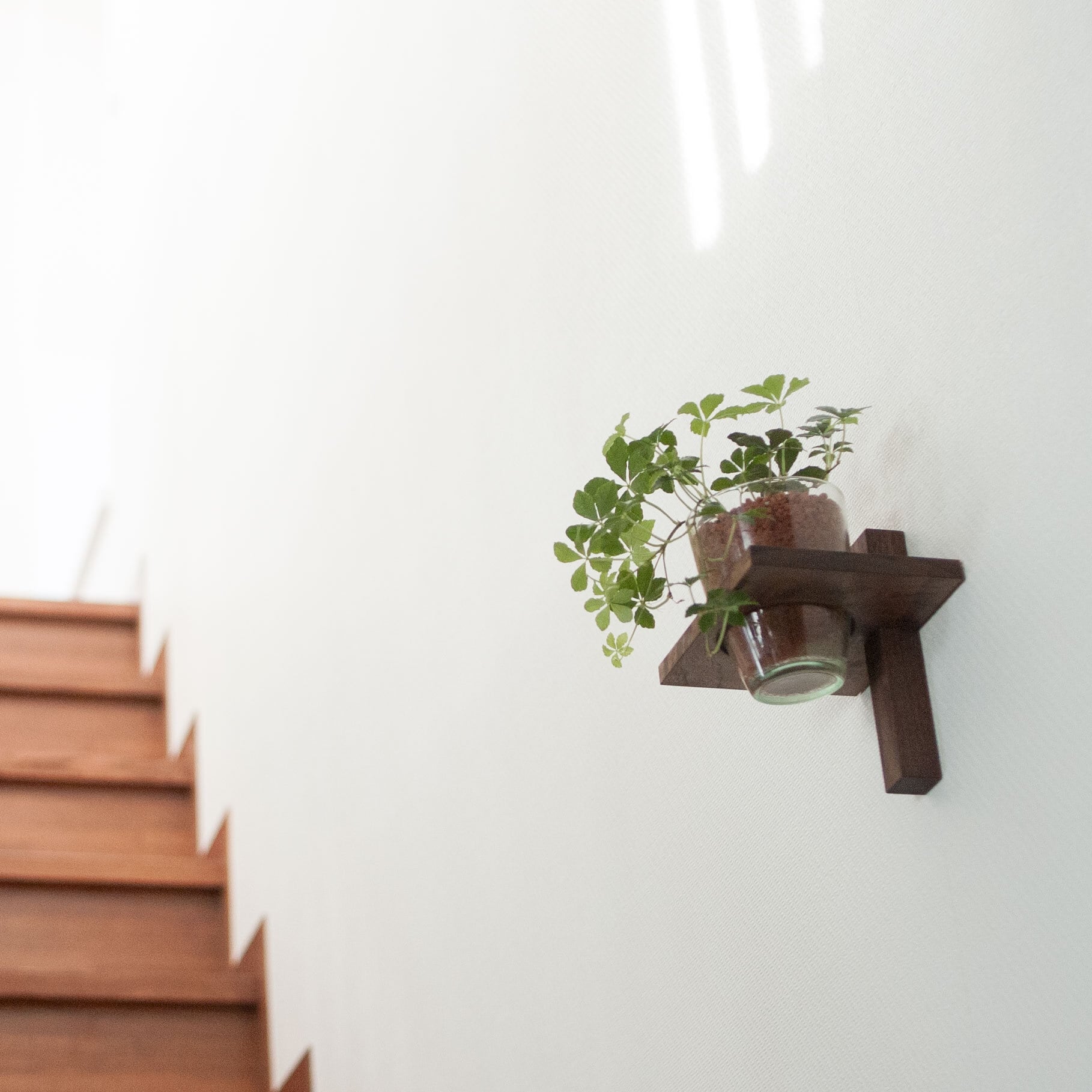 Green Rack / グリーンラック | WOODWORK makers market