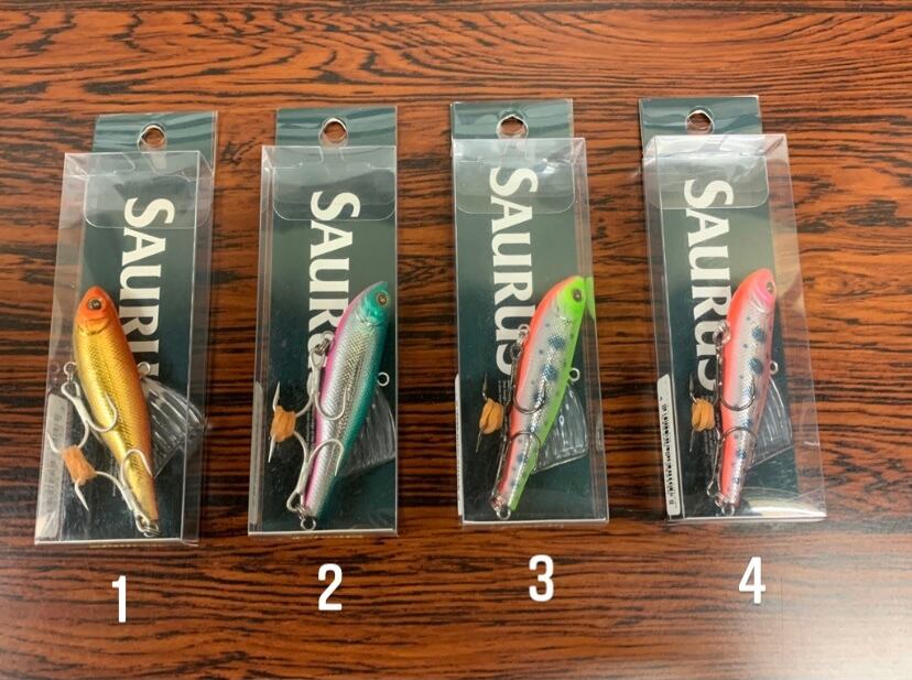 VIVRA（ヴィブラーT） 6．5cm ザウルストレイン | saurusjunior