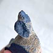 ブルーコーラル＊スラブ＊250807-02＊天然石＊置き物＊インテリアストーン