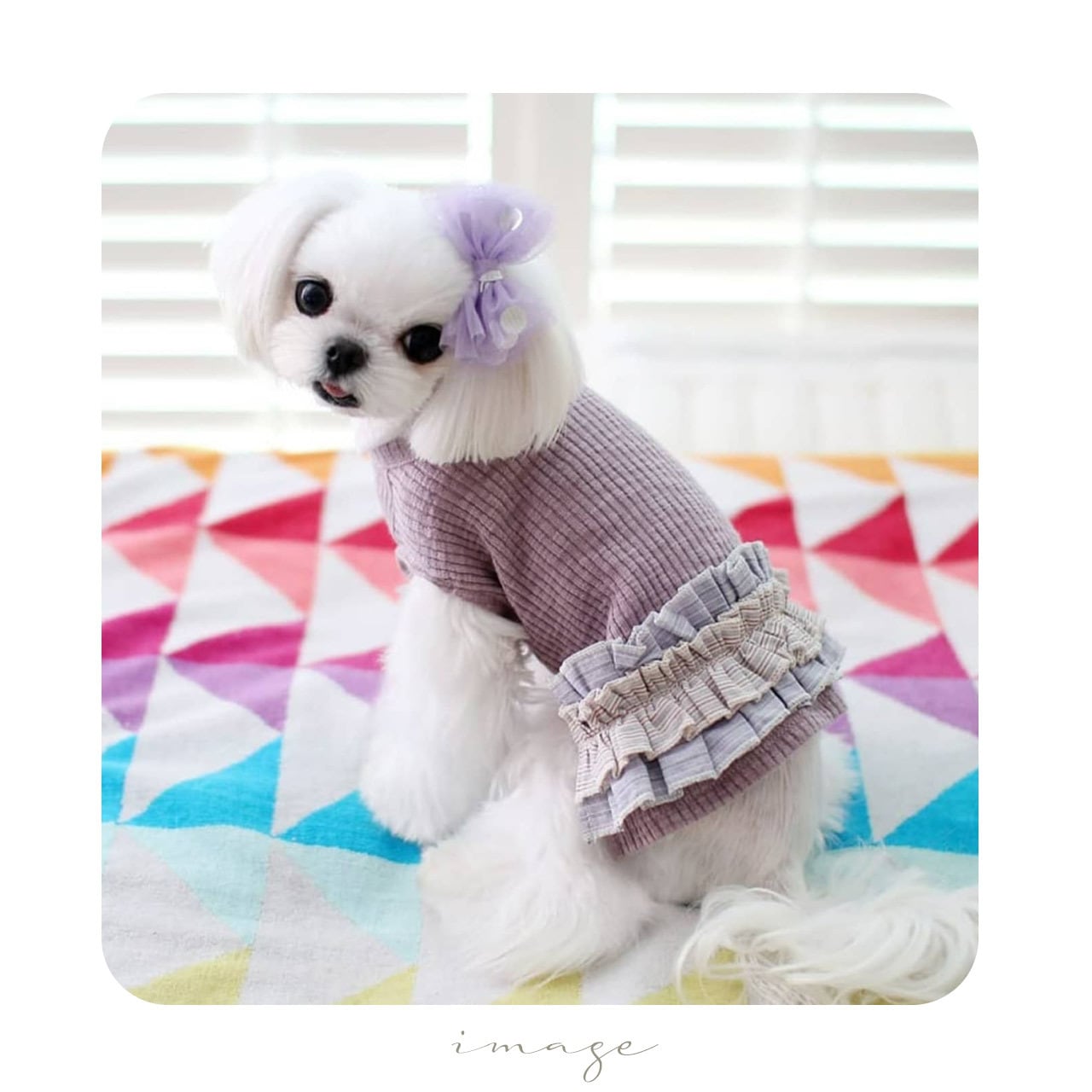 パピリーヒルズ　犬用ネックレス、リボン パピリーヒルズ 犬用ネックレス、リボン パピリーヒルズ犬用