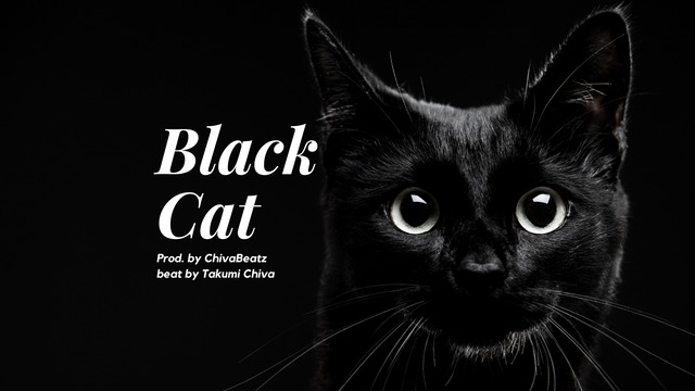Black Cat