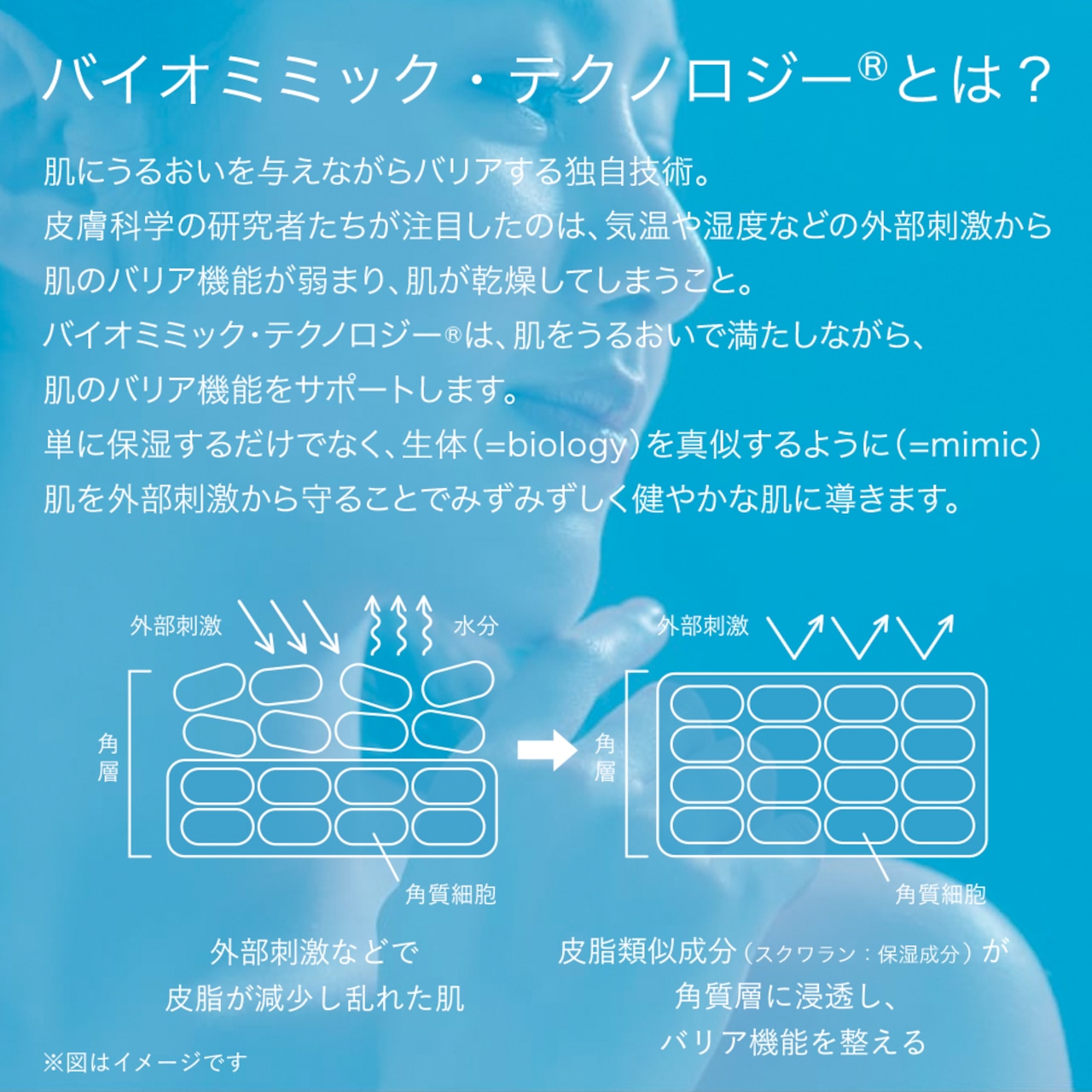 母の日に感謝の気持ちを伝えよう／DMT フェイスケア3種セット