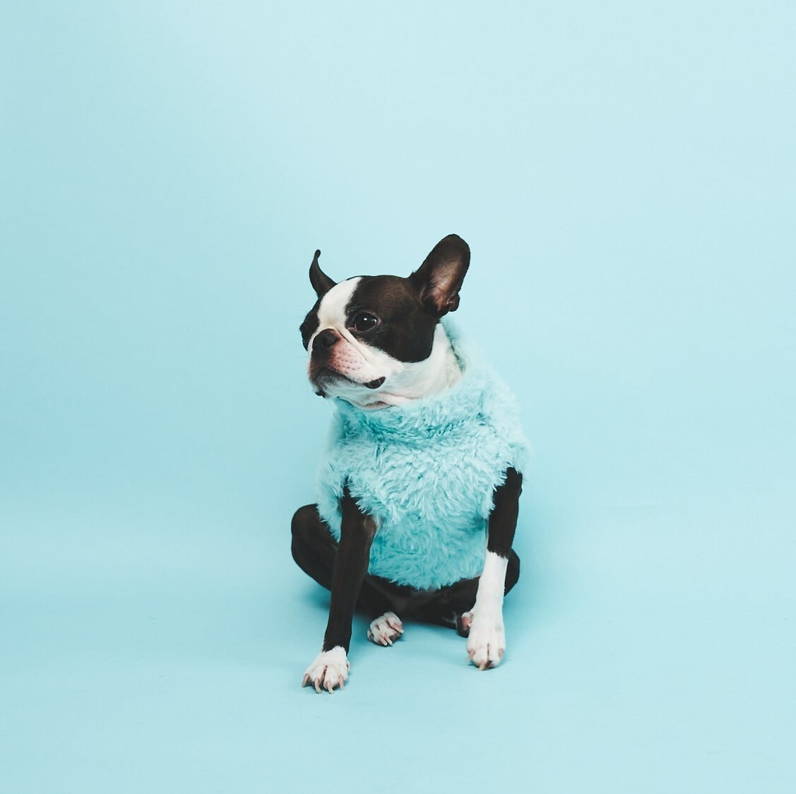 AIRY HUG TEDDY KNIT-SAX