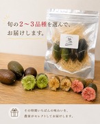 【旬の2〜3品種を食べ比べ】福島県産フィンガーライム 50g