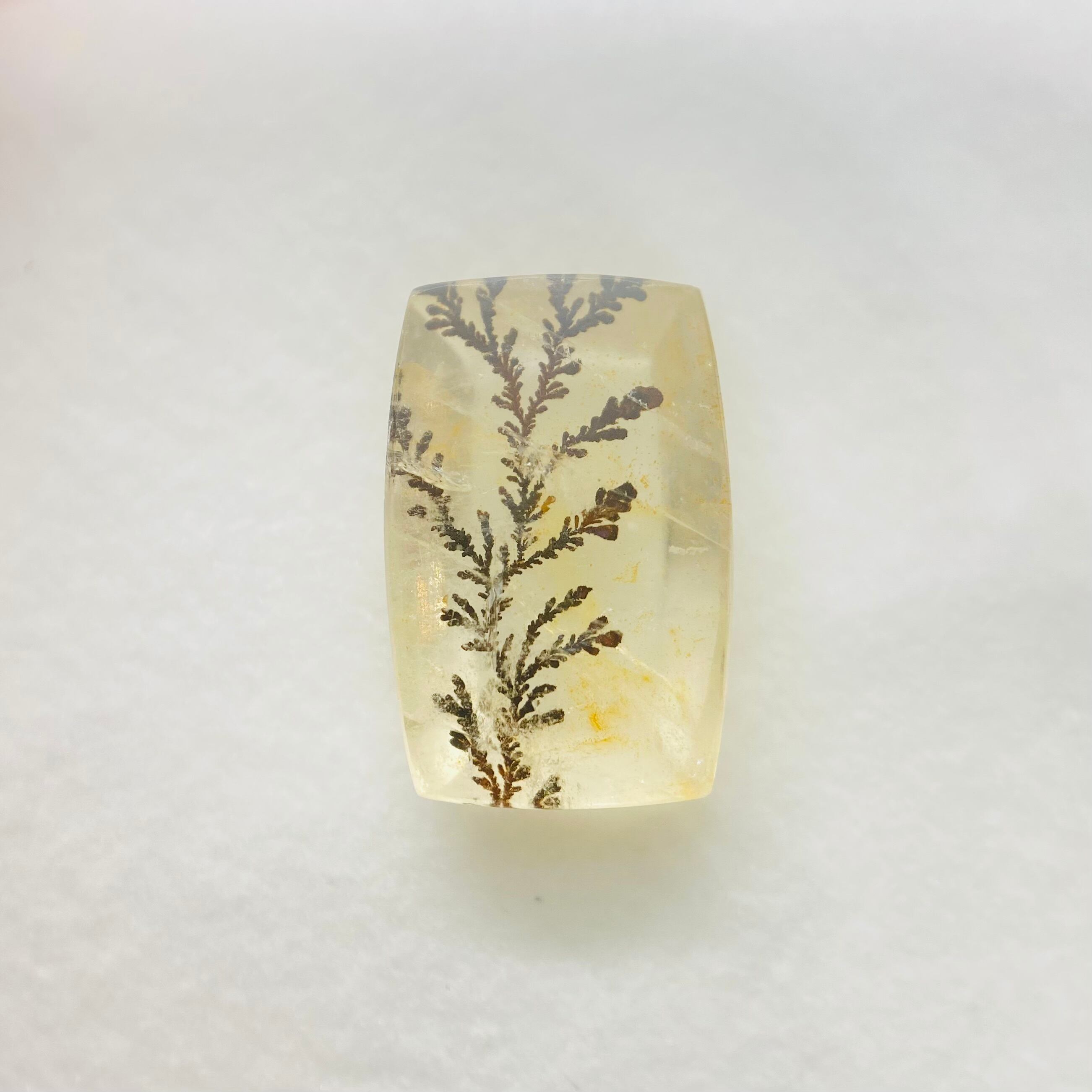 インスタライブご紹介　デンドリティッククオーツ