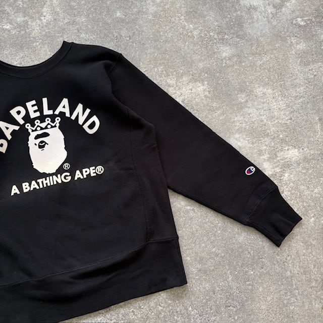 Champion】A Bathing APE チャンピオン アベイシングエイプ リバース
