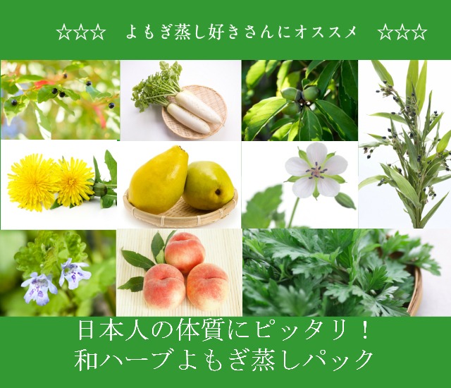 ★無農薬★ 和ハーブよもぎ蒸しパック6種類お試しセット（ 送料無料 ）