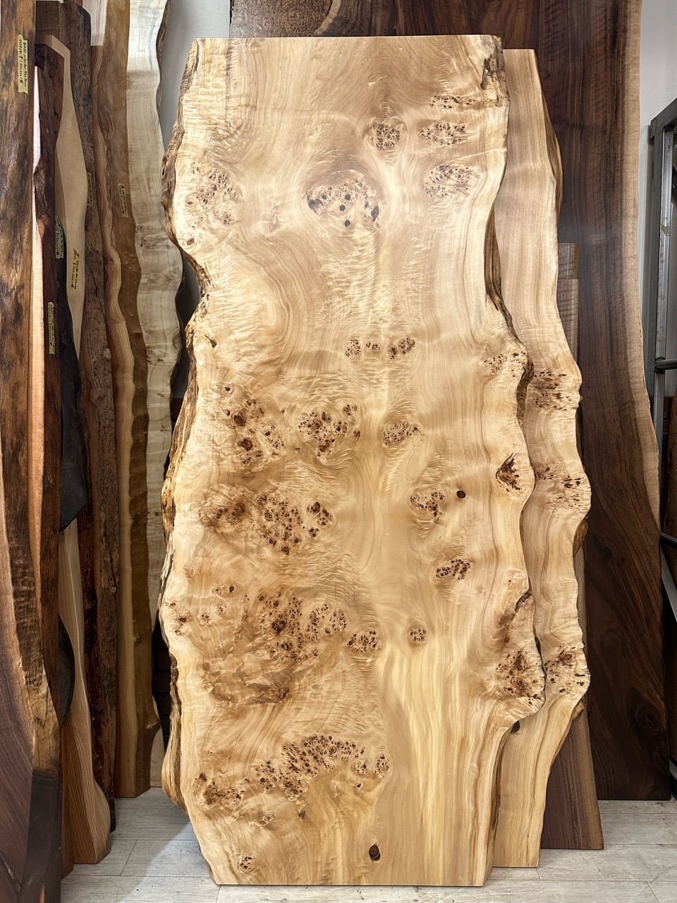 ポプラ瘤_1800×750× _浅草本店_テーブル天板/一枚板 261974 | 千年家具
