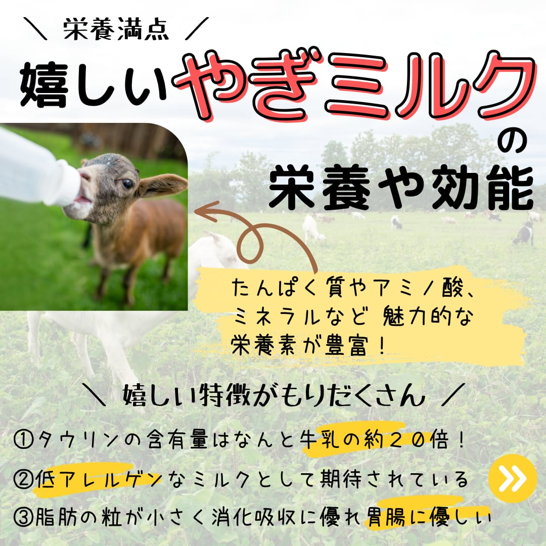 やぎミルク入り豚肉おからバーグ大口お得セット