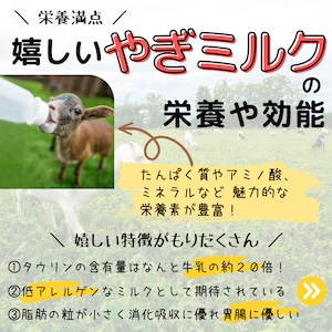 やぎミルク入り豚肉おからバーグ大口お得セット