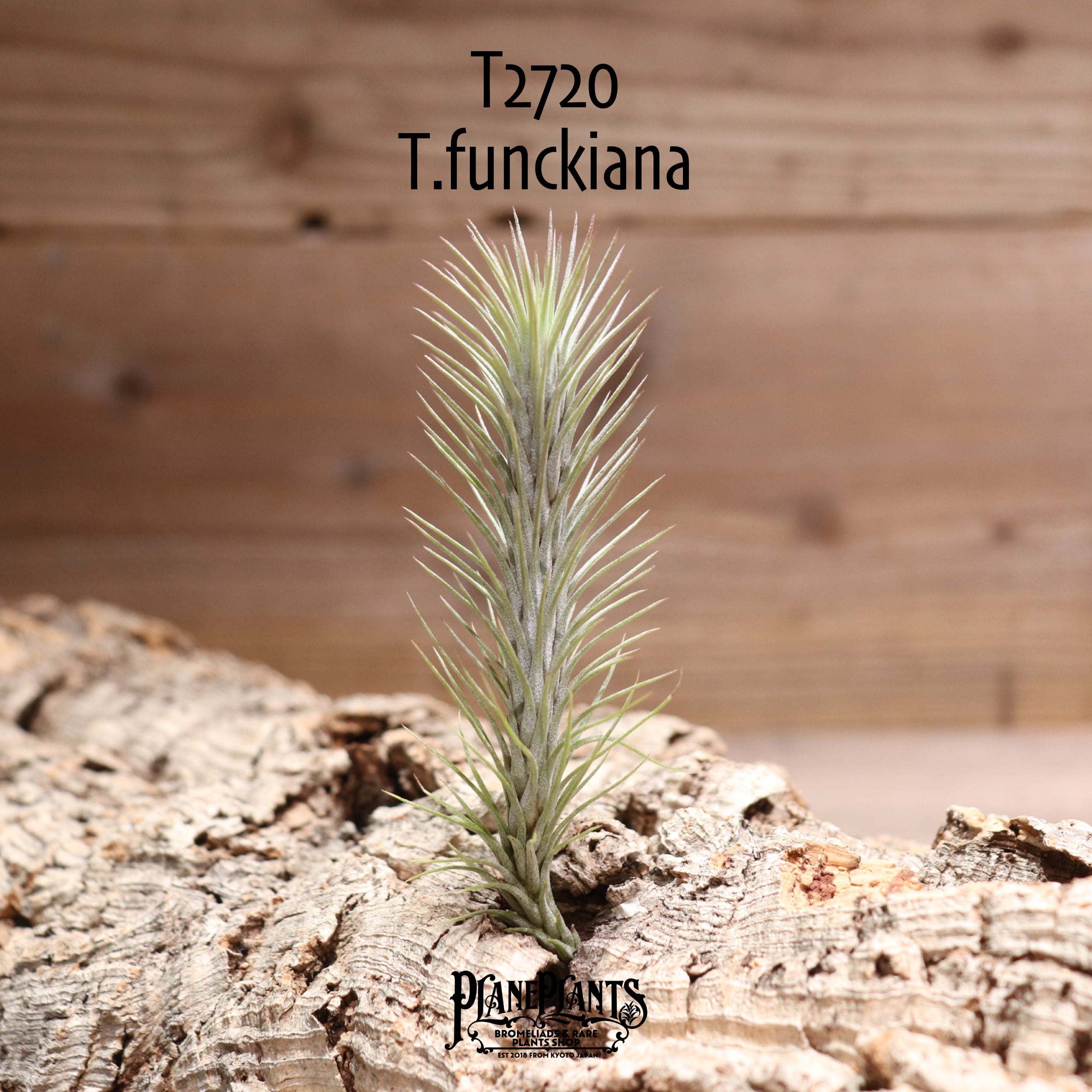 074525280ed22ca02d7ce59f8670c8