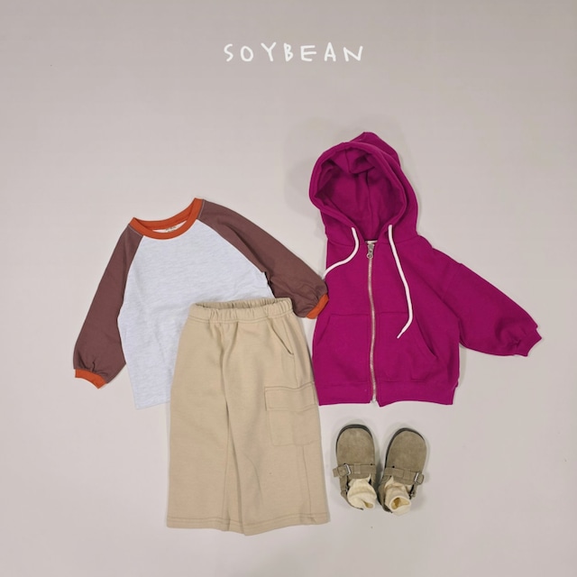 《送料無料》予約:ビンテージラグランT【soybean】