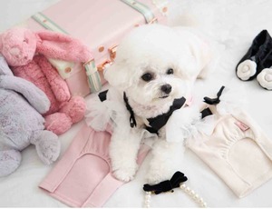 即納【MYLITTLEDOG】Coco Angel Top (cream)