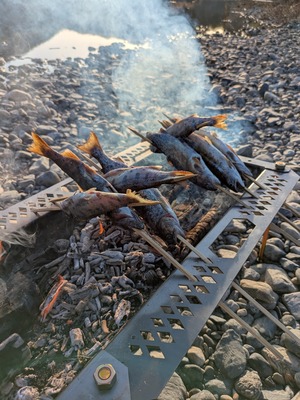 【ちょっとサビ有OUTLET】魚の串焼きができちゃう体験型焚き火台「野良グリル」キャンプ場常設・イベントにも　黒皮鉄　日本製