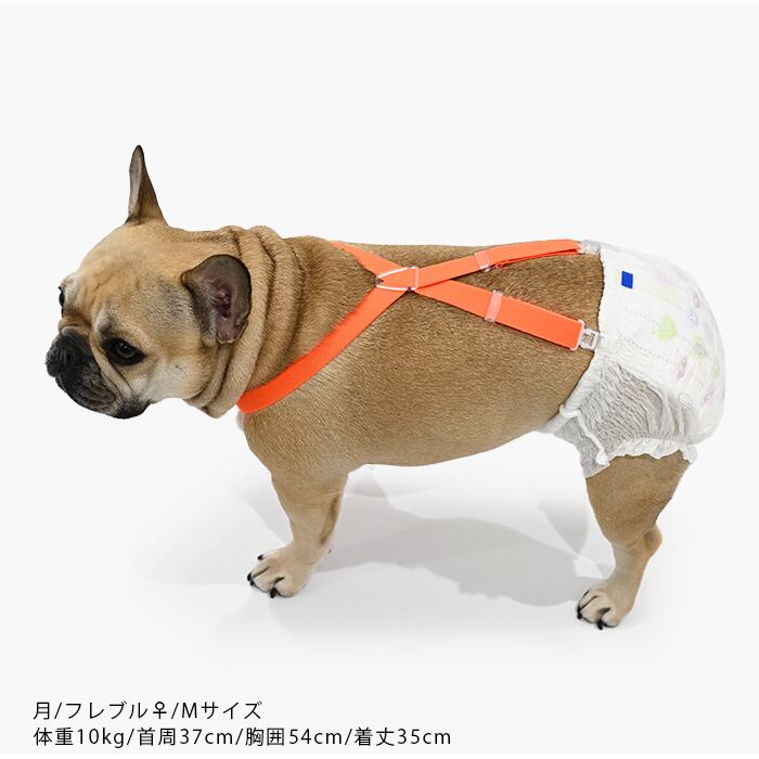日本製 軽量サスペンダー 樹脂クリップ 犬用 高品質 猫用 おむつ固定